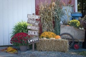 Country-Wedding-Fall-Hitchin-Dancin-Sign-Mums-Floral-WI-Wedding-SunflowerHill