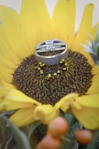 Engagement-Rings-Sunflower-SunflowerHill