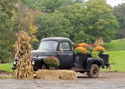 WI-Wedding-Photography-International-Pickup-Truck-1950-Rental-SunflowerHill-Floral