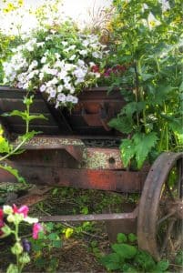 WI-Wedding-Rustic-SunflowerHill