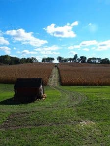 WI-Wedding-SunflowerHill-Country-Chic-Beautiful-View