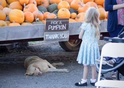 WI-Wedding-SunflowerHill-Country-Chic-Pumpkins-Gift