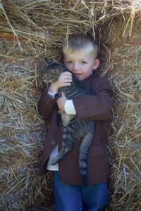 WI-Wedding-SunflowerHill-Country-Chic-Ring-Bearer-Cat-Straw