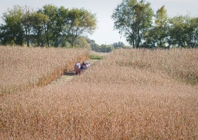 Wisconsin-Wedding-Wagon-Ride-SunflowerHill
