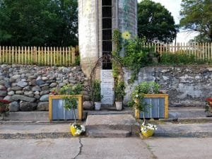 A  Busy Summer at Sunflower Hill